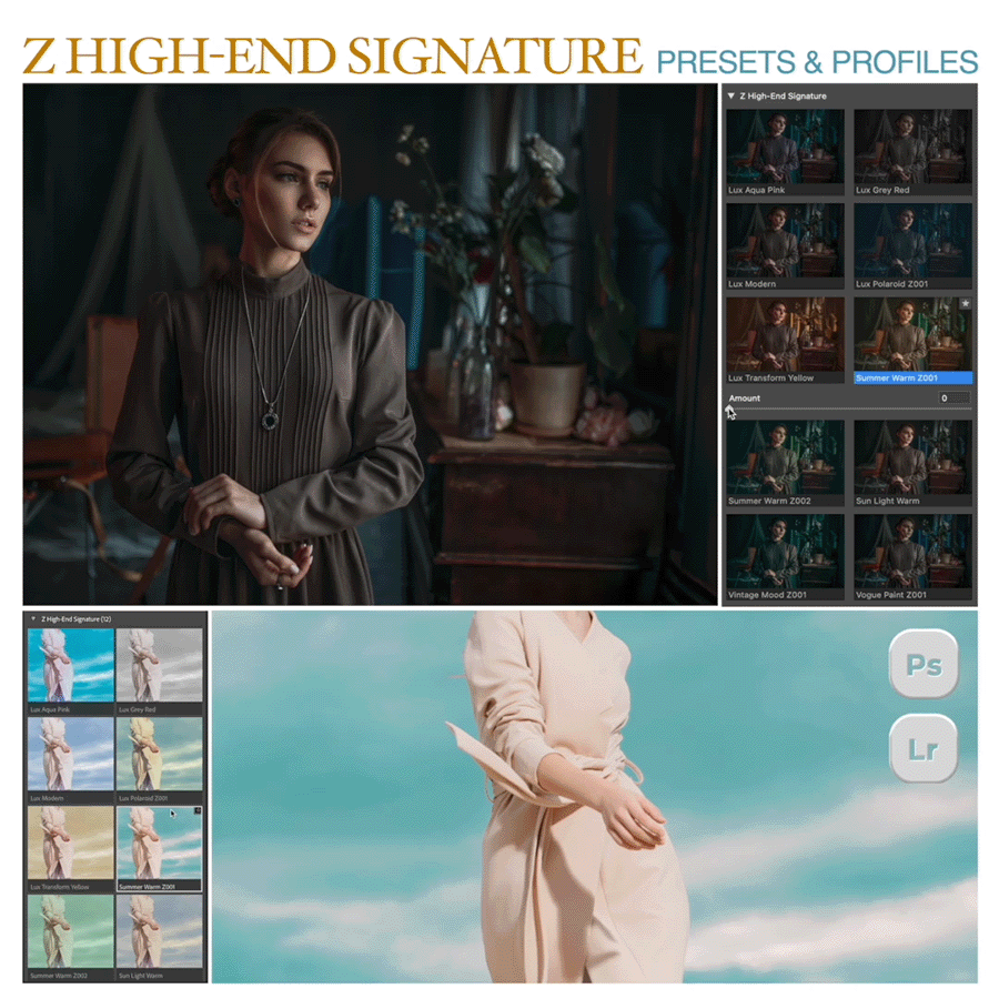 Z High-End Signature Presets + Profiles
